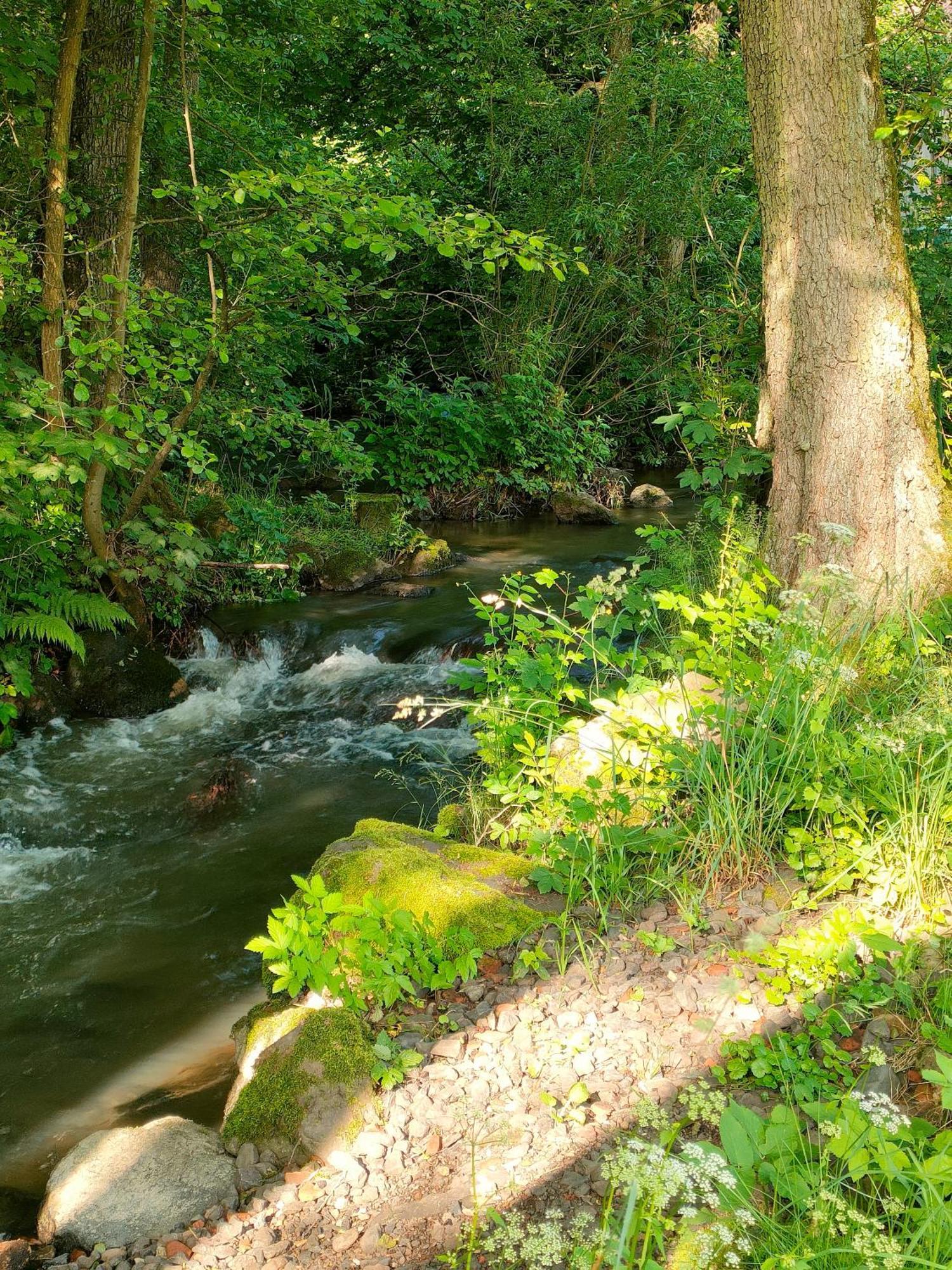 Wind In Den Weiden, Uebernachten Am Bachlauf Birstein Екстер'єр фото